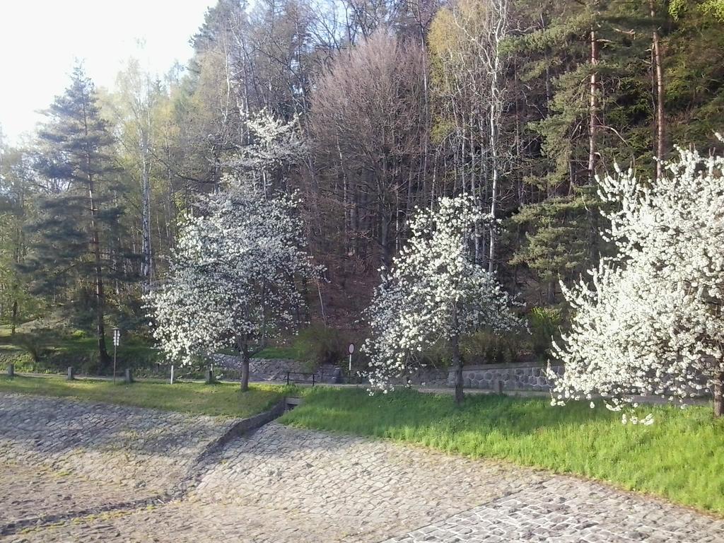 Penzion Hotelu Central Dvůr Králové nad Labem Bagian luar foto